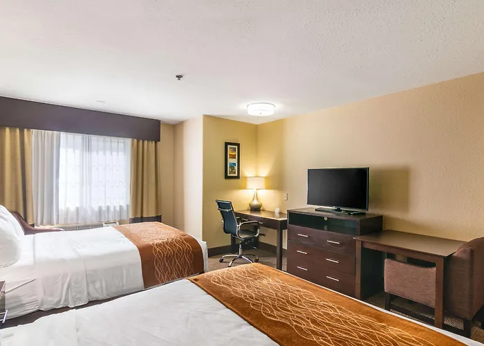 Comfort Inn&Suites